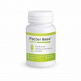 Factor Base Detox